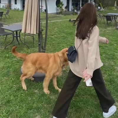 天声一对